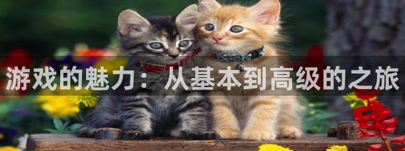 杏耀网址：游戏的魅力：从基本到高级的之旅