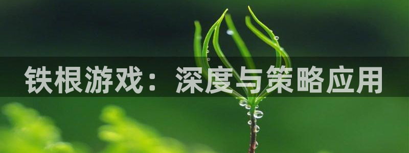 杏耀客户端登陆不进去