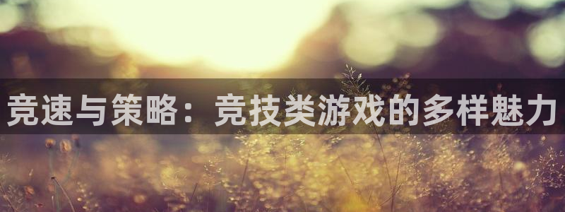 杏耀平台娱乐关闭了吗：竞速与策略：竞技类游戏的多样魅力