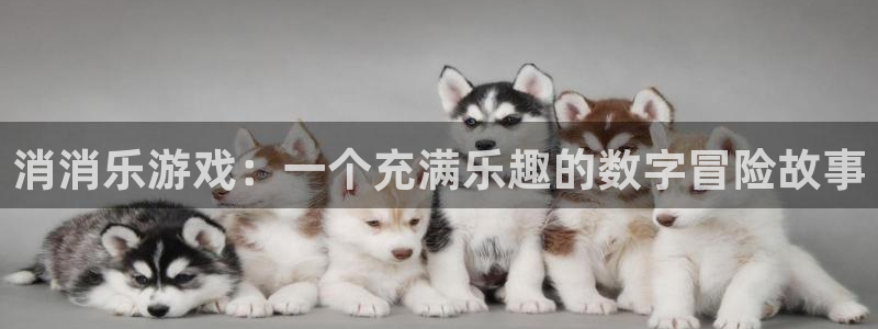 杏耀官网网站中心：消消乐游戏：一个充满乐趣的数字冒险故事