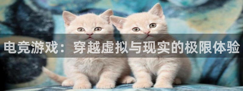 杏耀平台正规么：电竞游戏：穿越虚拟与现实的极限体验