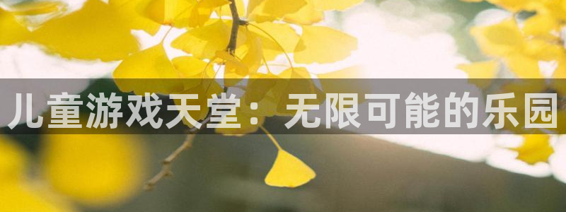 杏耀网页手机登录：儿童游戏天堂：无限可能的乐园