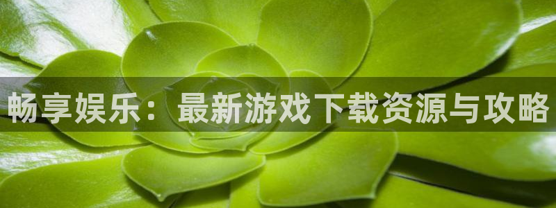 杏耀登陆地址：畅享娱乐：最新游戏下载资源与攻略