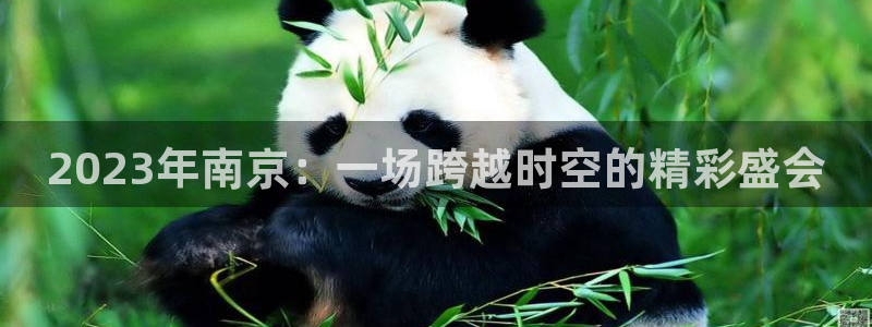 咪咕体育直播平台：2023年南京：一场跨越时空的精彩盛会
