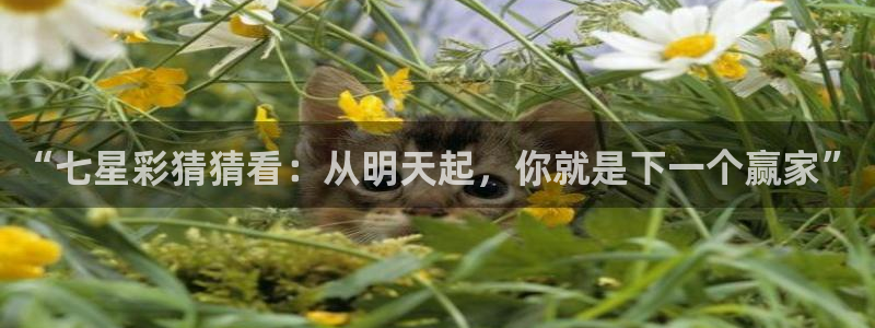 下载咪咕视频体育频道直播：“七星彩猜猜看：从明天起，你就是下一个赢家”