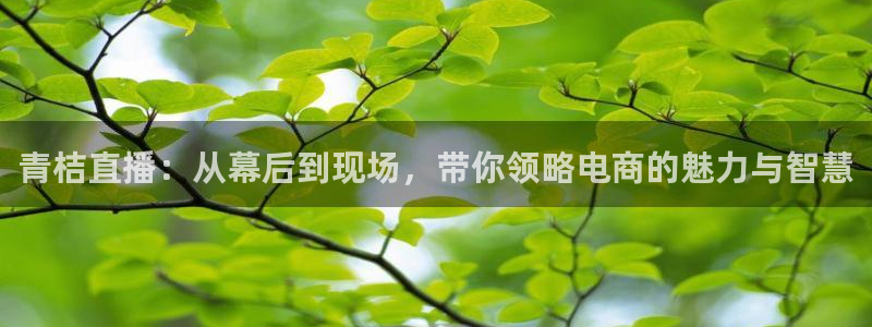 咪咕电视直播免费观看全部：青桔直播：从幕后到现场，带你领略电商的魅力与智慧