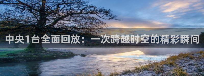 咪咕体育乒乓球直播在线观看：中央1台全面回放：一次跨越时空的精彩瞬间