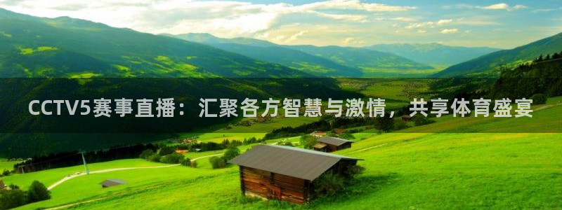咪咕篮球赛现场直播：CCTV5赛事直播：汇聚各方智慧与激情，共享体育盛宴